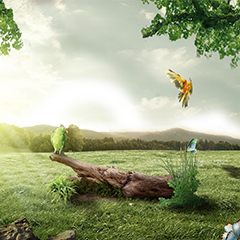 甘肃ISO14001环境管理体系认证